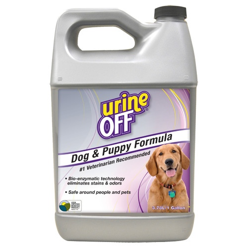 Urine shop off dog